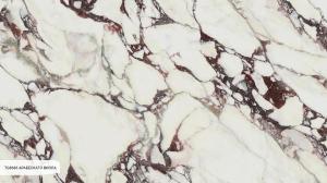 Керамические поверхности TechGres TG8686 Arabescato Viola