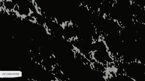 Кварцевый камень Noblle Quartz Q921 Arabescato Black