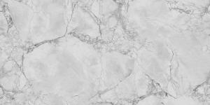 Кварцевый камень ​​​​​​​748 Calacatta Grigio
