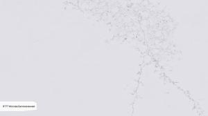 Кварцевый камень Аварус R777 Москва Белокаменная