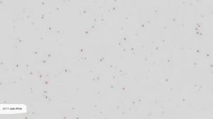 Кварцевый камень Noblle Quartz Q117 Jade White