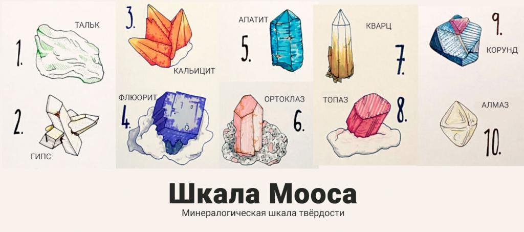 scale_2400 (1).jpg
