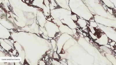 Керамические поверхности TechGres TG8686 Arabescato Viola