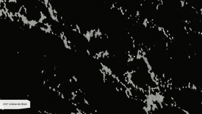 Кварцевый камень Noblle Quartz Q921 Arabescato Black