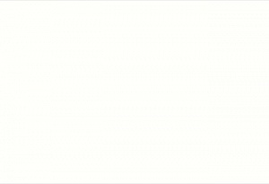 Акриловый камень Staron Bright White BW010