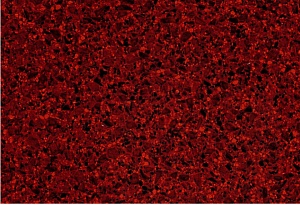 Акриловый камень Staron Tempest Paprika FP136