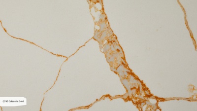 Кварцевый камень Noblle Quartz Q785 Calacatta Gold