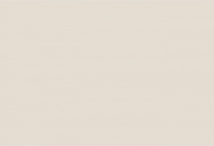 Акриловый камень Staron Ivory SI040