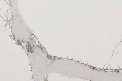 Кварцевый камень Quantra Calacatta Oro