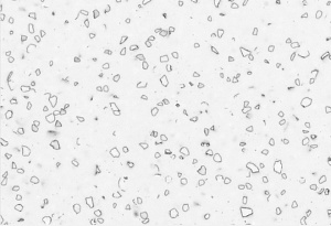 Акриловый камень Staron Mosaic Dalmatian QD212