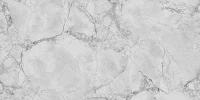 Кварцевый камень Primax ​​​​​​​748 Calacatta Grigio