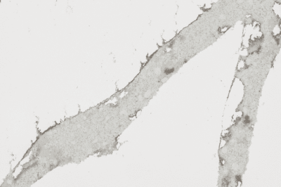 Кварцевый камень Quantra Calacatta Lucca