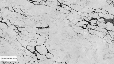 Кварцевый камень Noblle Quartz Q923 Arabescato Corchia